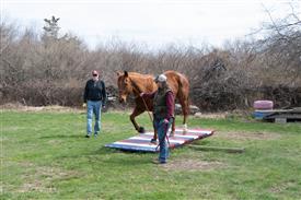 LR-WRF 0402026 Retreat-3550